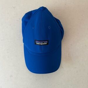 Patagonia Blue Airshed Cap